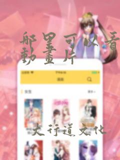 哪里可以看日本动画片